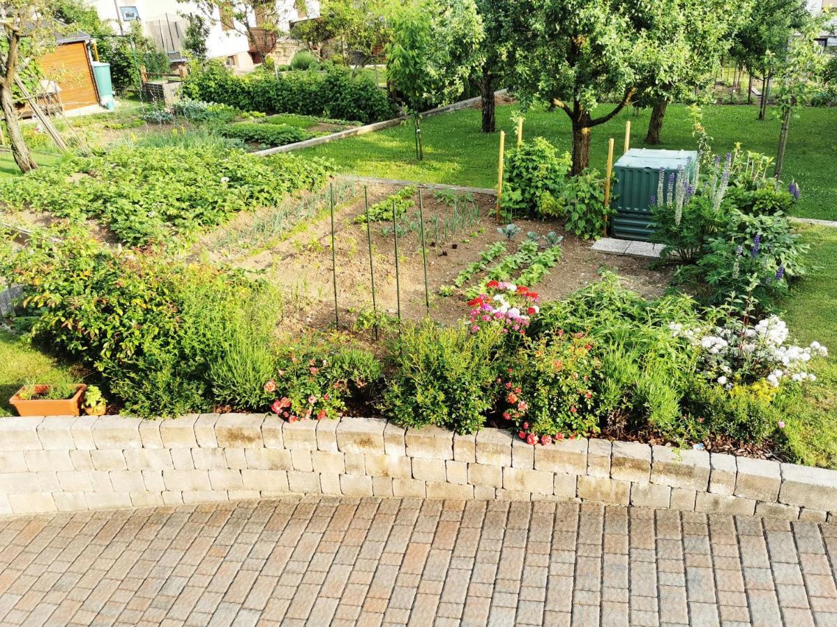 Apartment Vida Bled Dış mekan fotoğraf